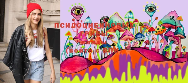 MDMA Premium VHQ Аркадак