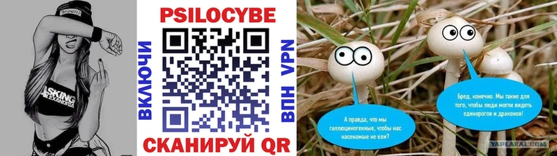 где продают наркотики Разумное блэк спрут ССЫЛКА Псилоцибиновые грибы прущие грибы